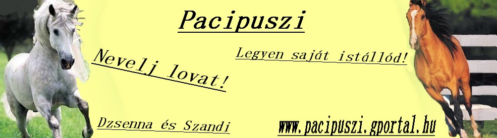 ♥♥♥♥Pacipuszi♥♥♥♥